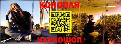 гашик Донецк