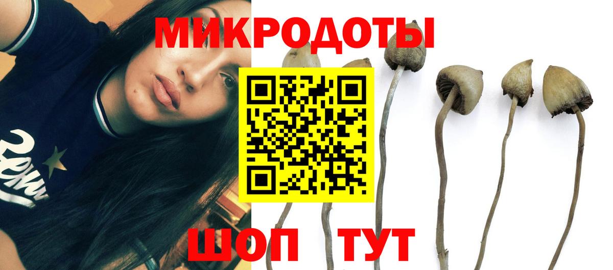 Псилоцибиновые грибы ЛСД  Вход с VPN  Михайловка 