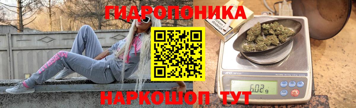Конопля планчик Михайловка