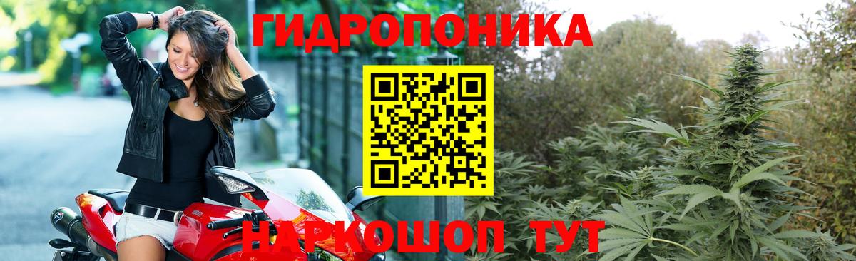Каннабис AK-47  Бошки Шишки AK-47  Вход с VPN  Михайловка 